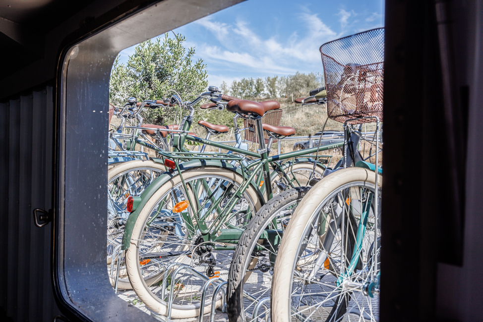 Tabor 67 - Our Bikes